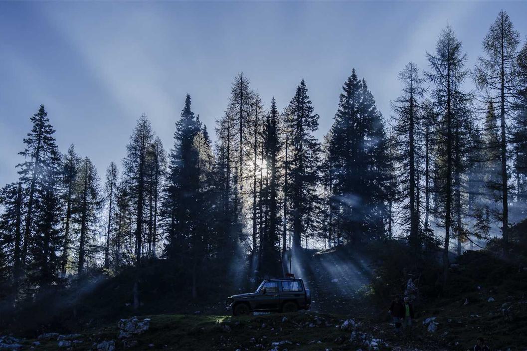 Qui similique consequatur aliquam