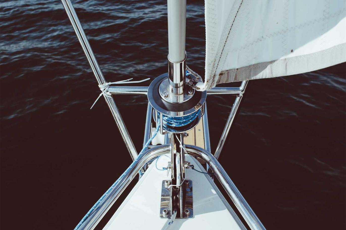 Omnis odio quasi omnis