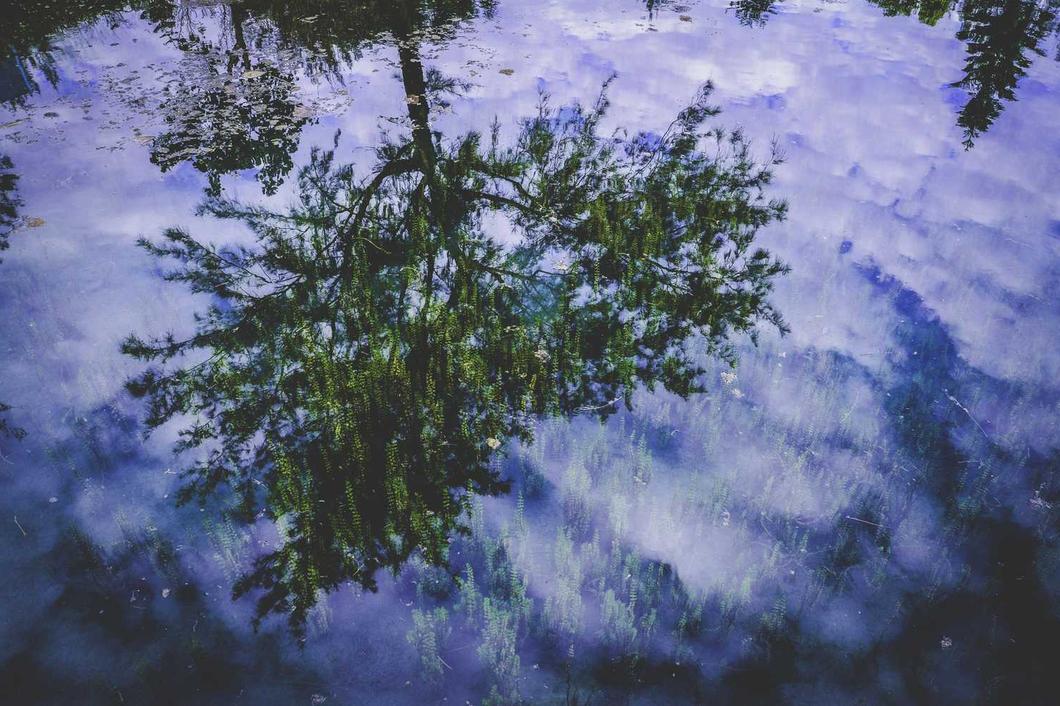 Molestiae excepturi cupiditate maiores quo