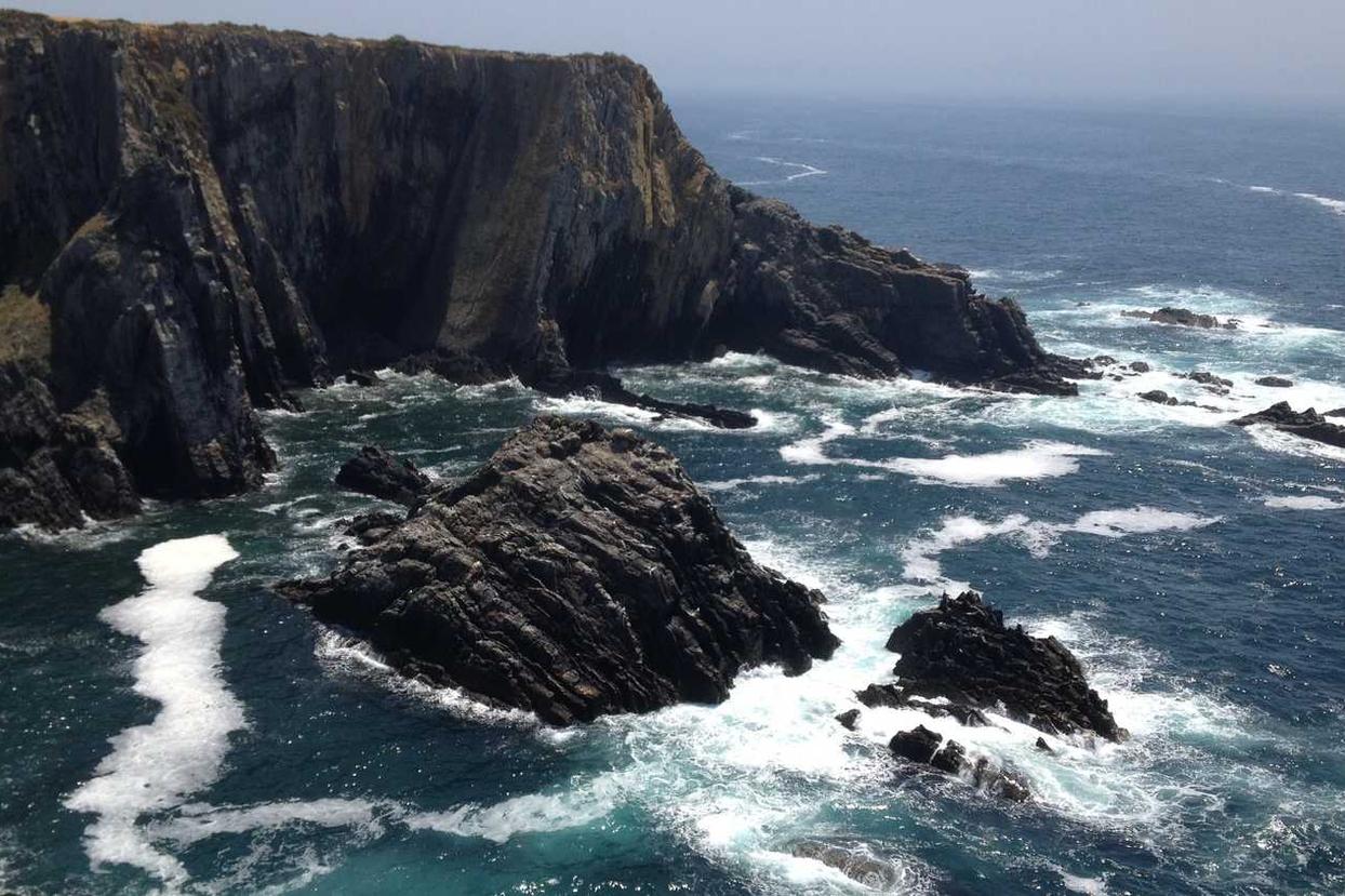 Aliquam ratione aut et