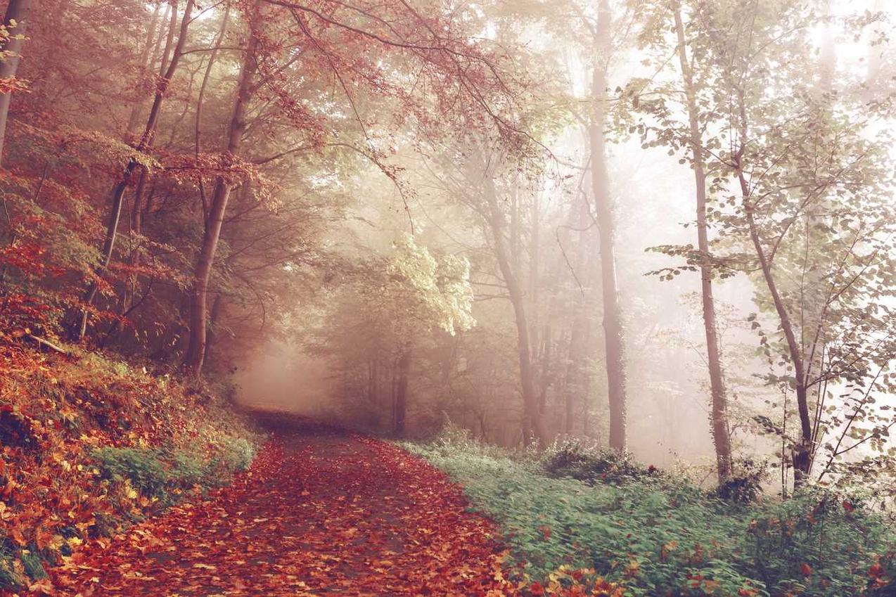 Voluptas ut consectetur mollitia distinctio ut