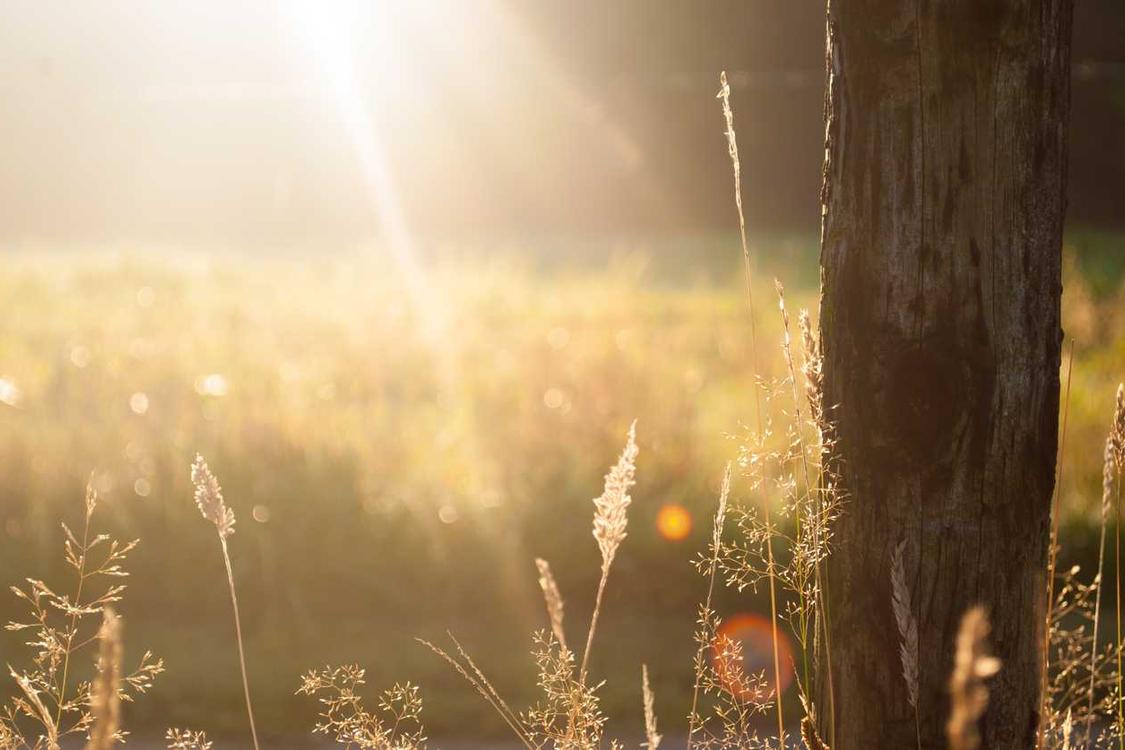 Iste consequatur quia et aperiam