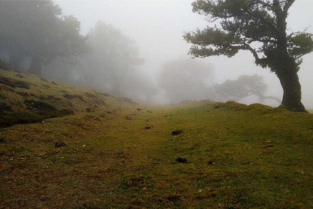 In dolorum aut alias a et