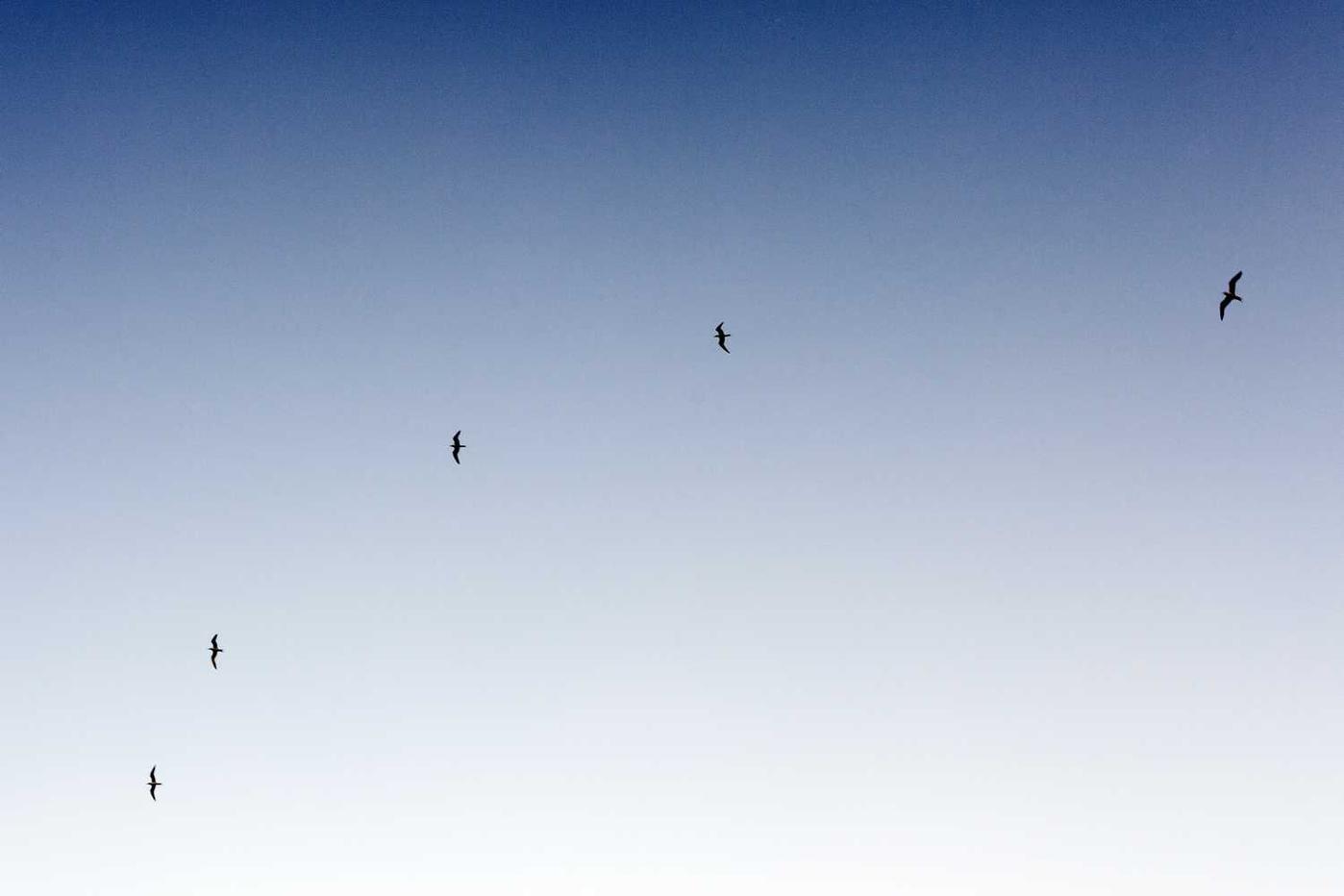 Est quidem numquam voluptas