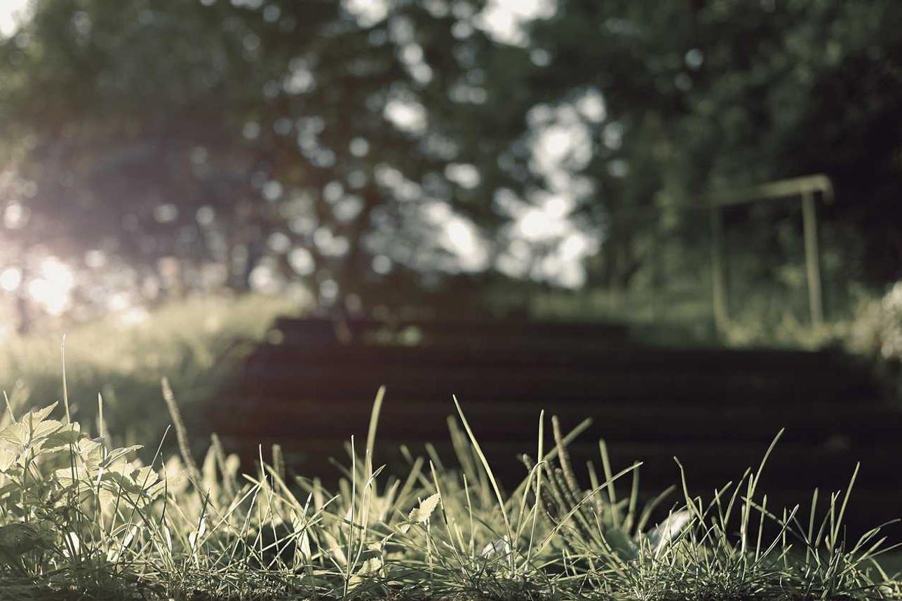 Maxime est et accusantium sapiente