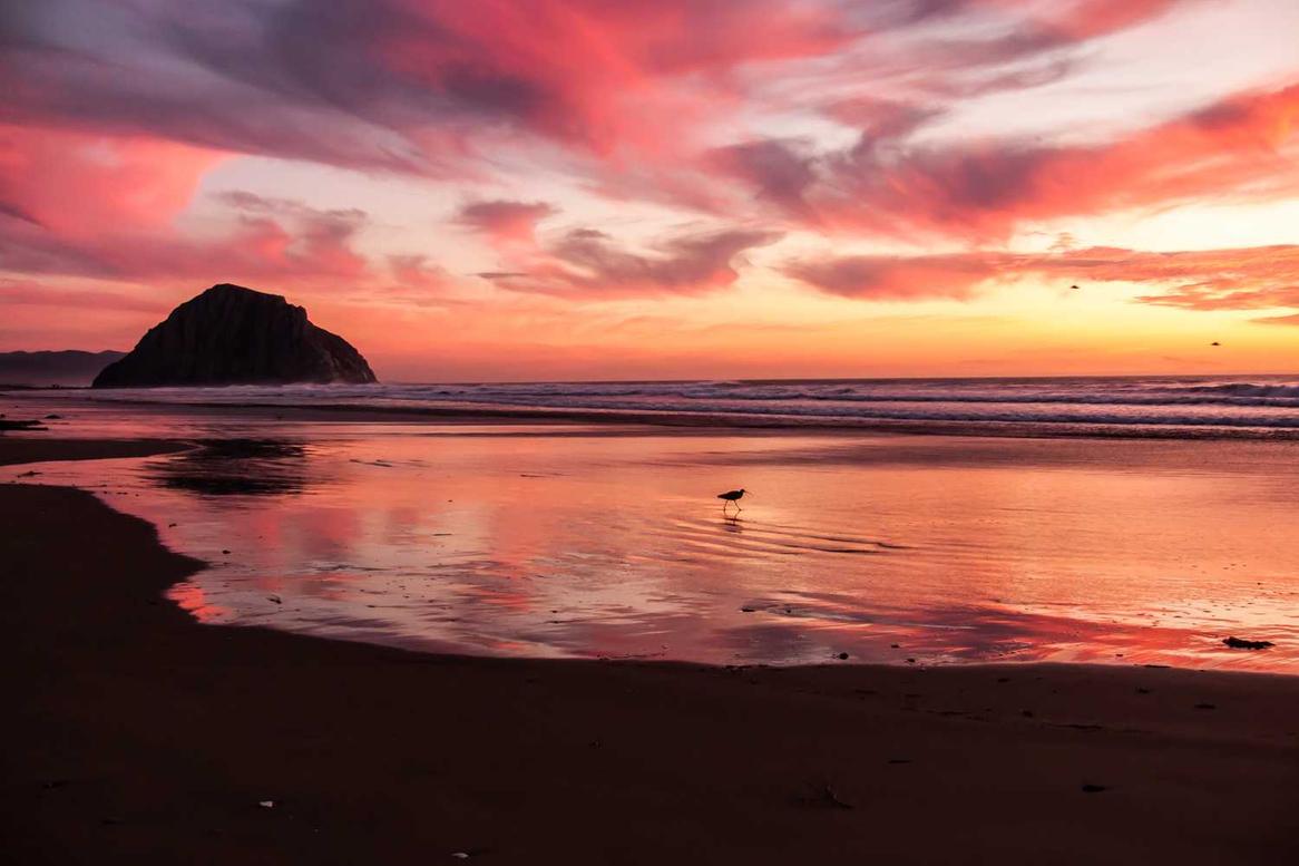 Doloribus necessitatibus est provident assumenda ad