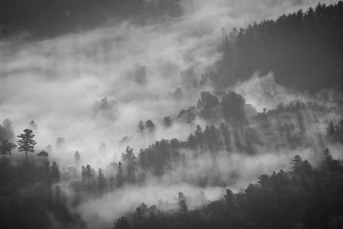 Aut minima quas sint aut