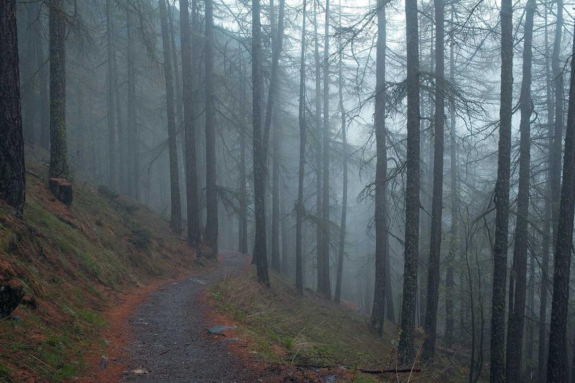 Iusto et incidunt voluptas