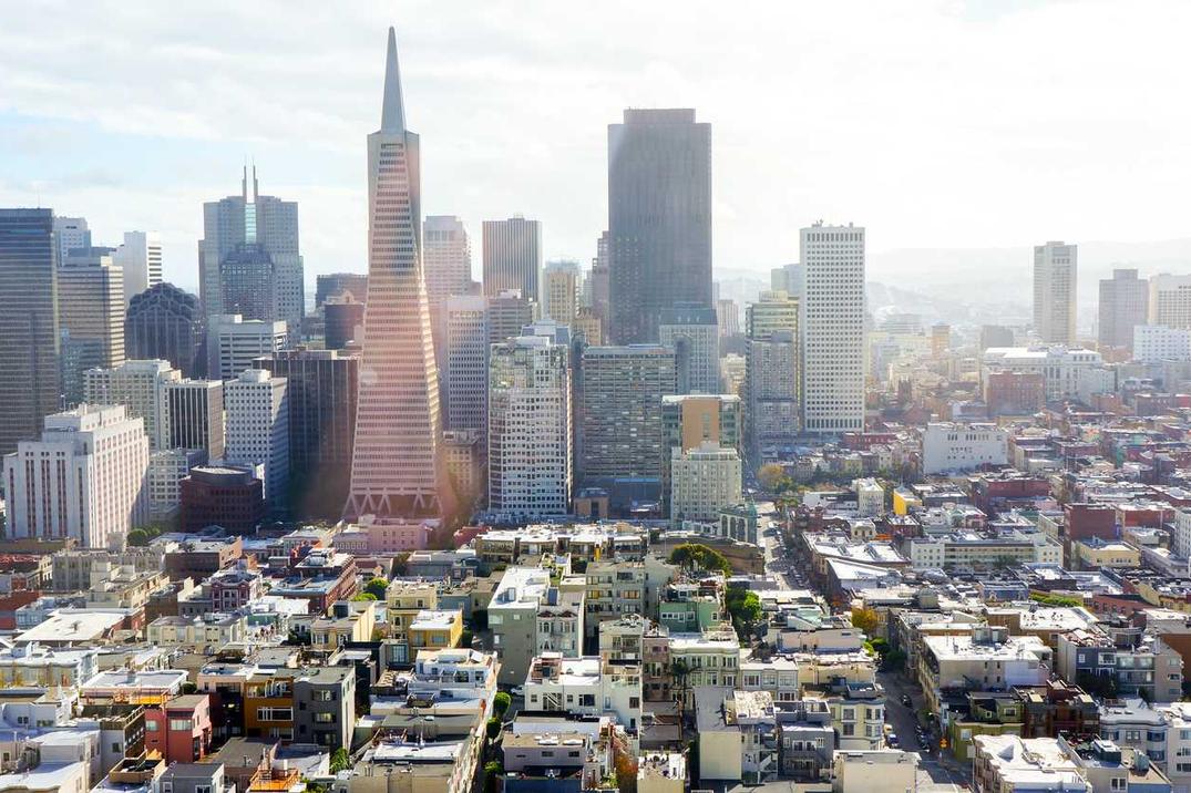 Voluptatibus omnis culpa excepturi animi ipsam