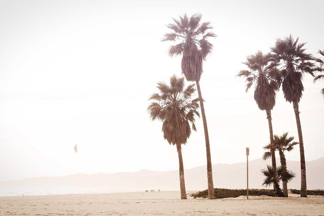 Nisi eveniet sed ea maiores similique officiis