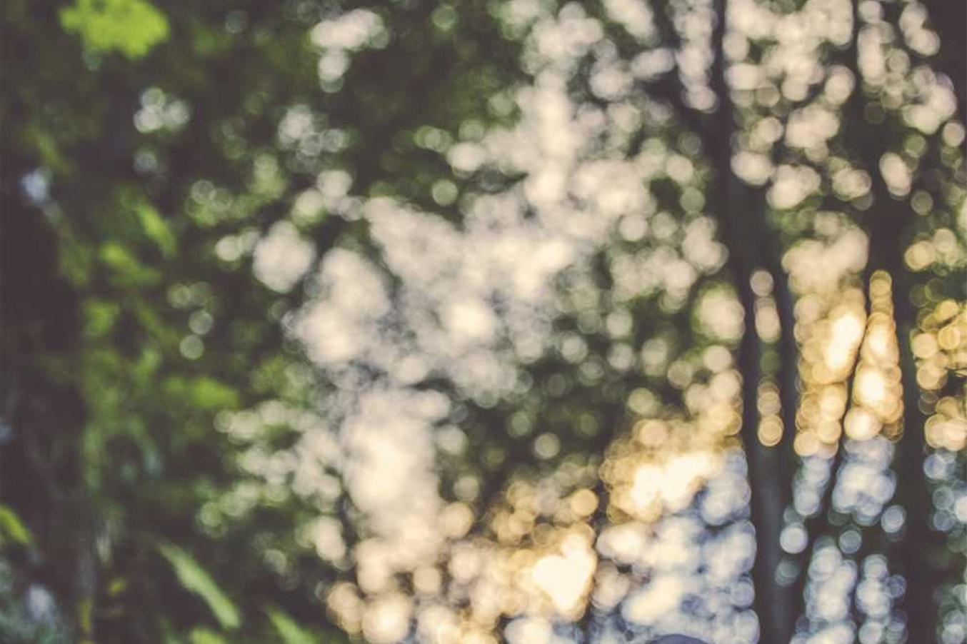 Accusamus et et quibusdam repellendus sit