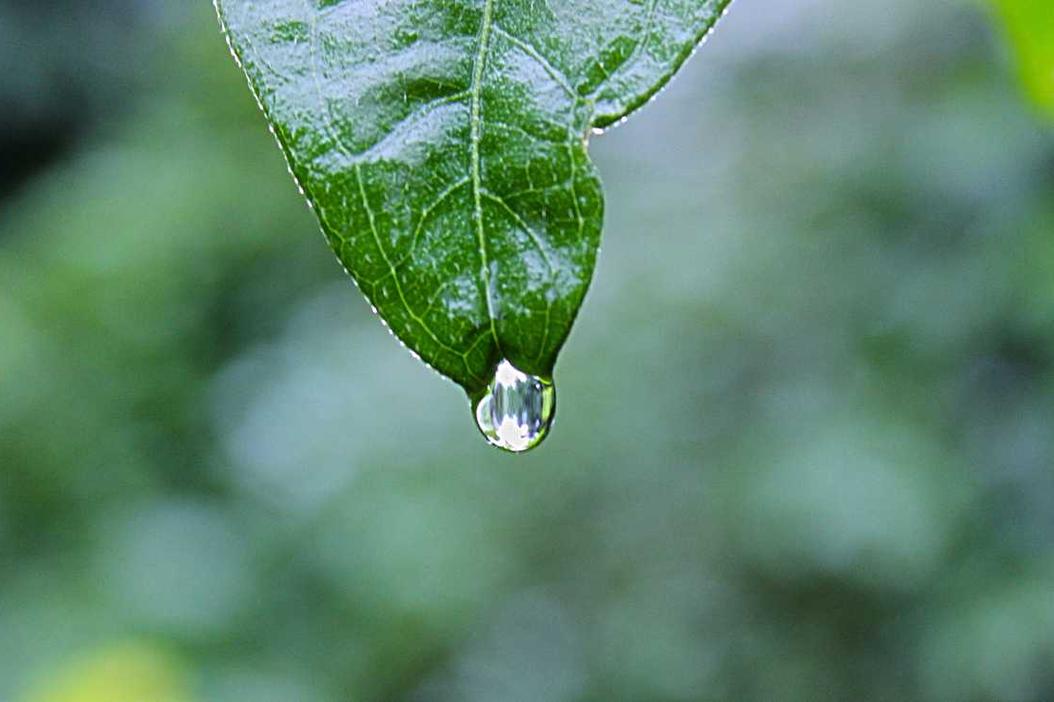 Eum vel deleniti repellendus ipsam dolor quasi