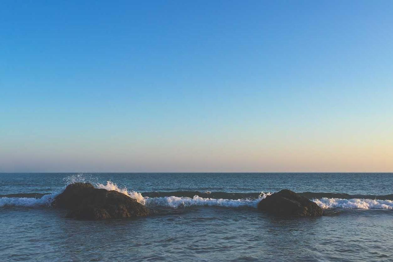 Animi architecto cumque neque libero vitae